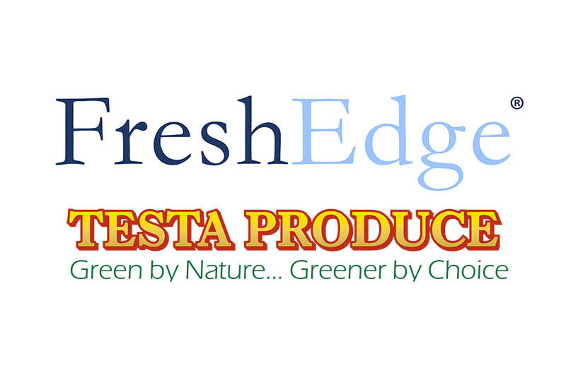 FreshEdge Testa